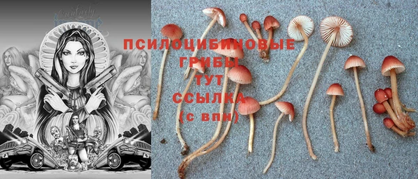 первитин Абинск