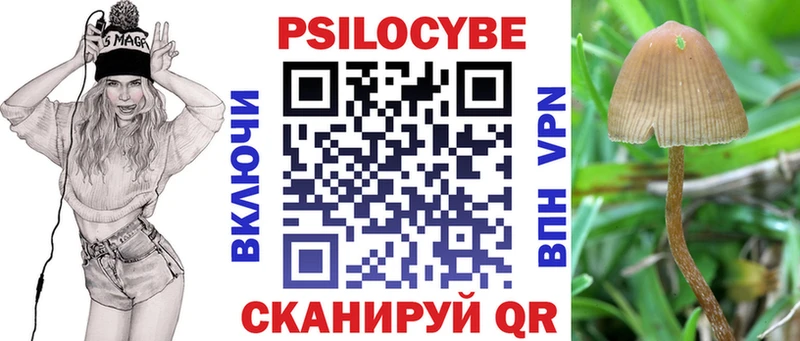 Псилоцибиновые грибы мицелий  как найти закладки  Костерёво 